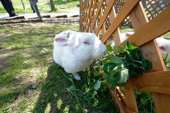 20150510_0018のコピー.jpg