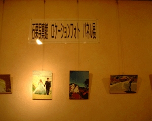 4.14石栗写真2.gif