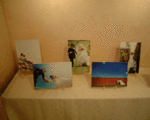 4.14石栗写真1.gif