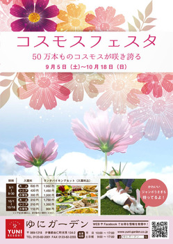 コスモスチラシ最終-1.jpg
