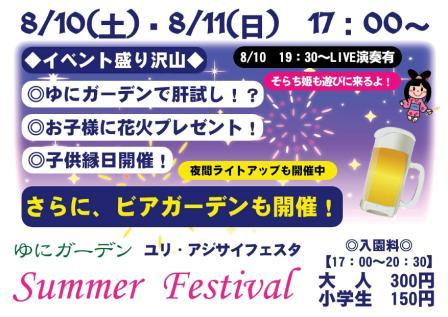 サマーフェスティバル2013.jpg