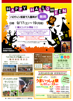 H28 コスモスチラシ(裏).jpg