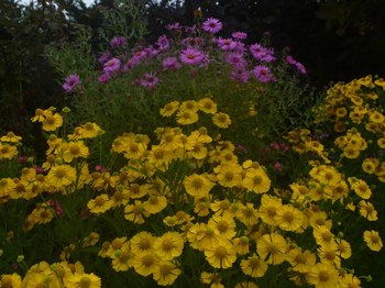 P1070973のコピー.jpg