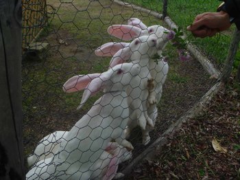 P1080072のコピー.jpg