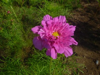 P1080181のコピー.jpg