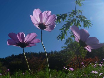 P1090034のコピー.jpg