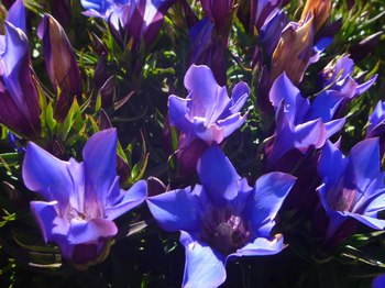 P1090051のコピー.jpg