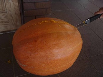 P1090129のコピー.jpg