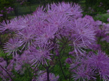 P1090537.JPG