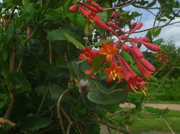 P1090544.JPG
