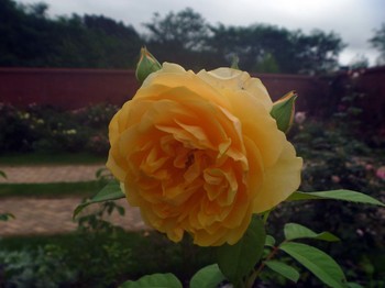 P1100538のコピー.jpg
