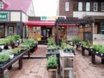 P8020530.gif