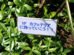 P8070559.gif