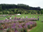 P8260151.gif