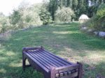 P9040061.gif