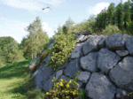 P9040064.gif