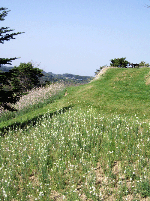 P9110018.gif