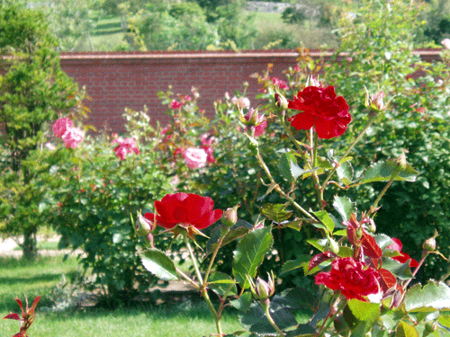 P9110019.gif