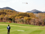 PB040055.gif